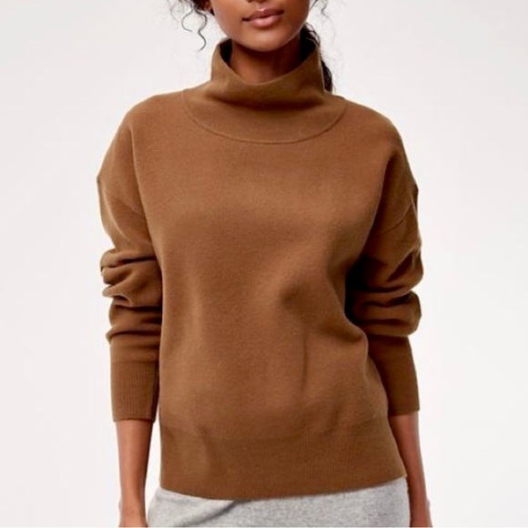 Aritzia Sweaters - Aritzia Hannah Turtleneck Sweater